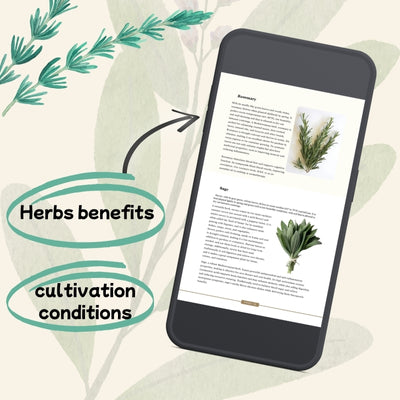 Grow Lush, Healthy Herbs Effortlessly👌 From seed to table formula